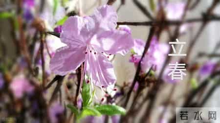 今日立春，建议大家：1不喝，2不碰，3要洗，4要吃，准备过大年