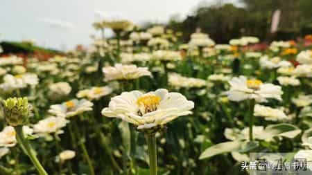 过年了，强烈建议大家，如果买衣服，能力范围内就买最贵的