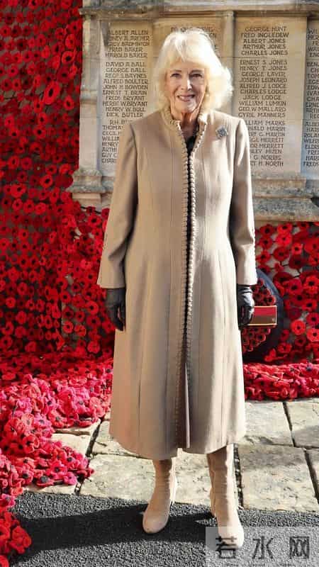 不得不说，卡米拉王后越来越会穿了，身姿挺拔尽显贵气感