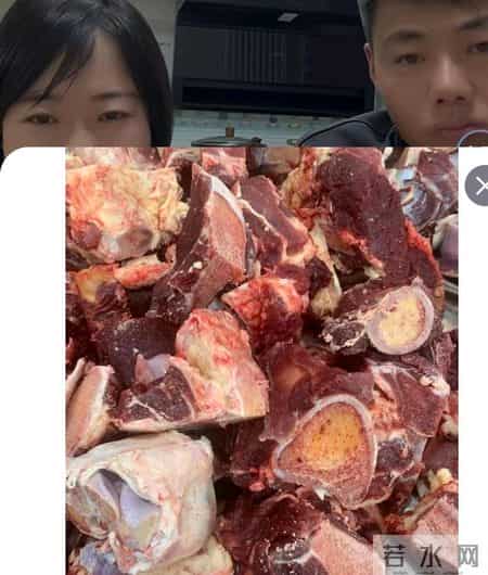 河南姑娘和内蒙小叔子都在直播，婆家娘家4个精英“打擂台”