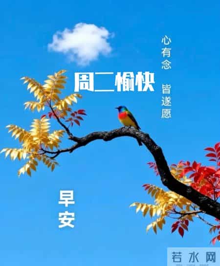 2026年2月3日早上好 早上好温馨问候祝福语 早安精美图片 周二愉快