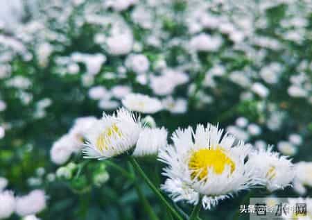 过年了，强烈建议大家，如果买衣服，能力范围内就买最贵的