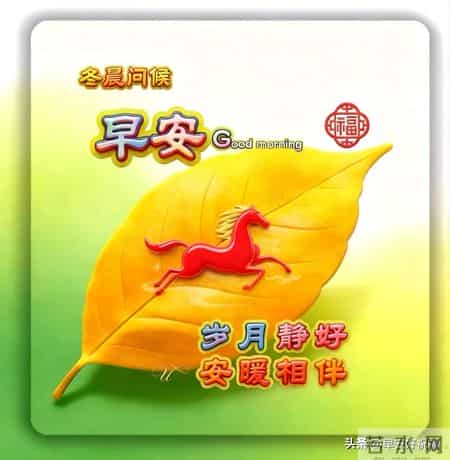 2月1日、星期日，最新早安好祝福漂亮图片精选，新的一天早上好