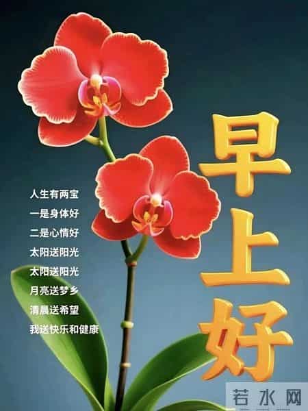 2026年2月1日早安图周末早上好祝福 冬日早安问候图片