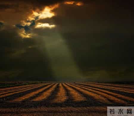 家中亲人过世后第一年，做了以下3件事，是吉利的征兆