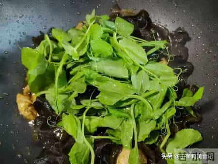 立春后使劲吃,一养肝,二排毒,三抗菌,四增免疫,鲜美正当季