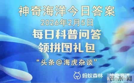 2026年2月5日蚂蚁庄园答案最新，蚂蚁新村和神奇海洋今日正确答案