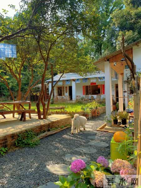 这才叫院子，你家的顶多算水泥地！