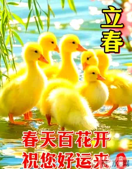 立春节特给你18个＂春＂字的美好祝福！文丨朱兴安｜图丨网络