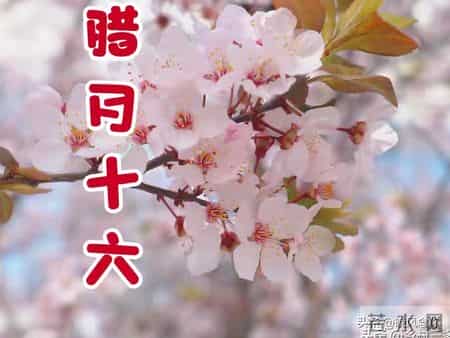 明日是“绝日”，立春的前一天，提醒：无论多忙，4件事别犯忌讳