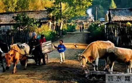 小叔身份不一般，父亲从来不说，母亲被人欺负后，小叔才赶来露面