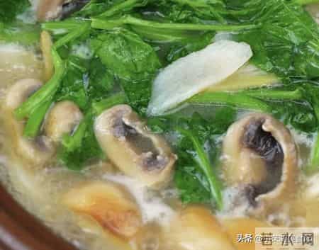 立春后使劲吃,一养肝,二排毒,三抗菌,四增免疫,鲜美正当季