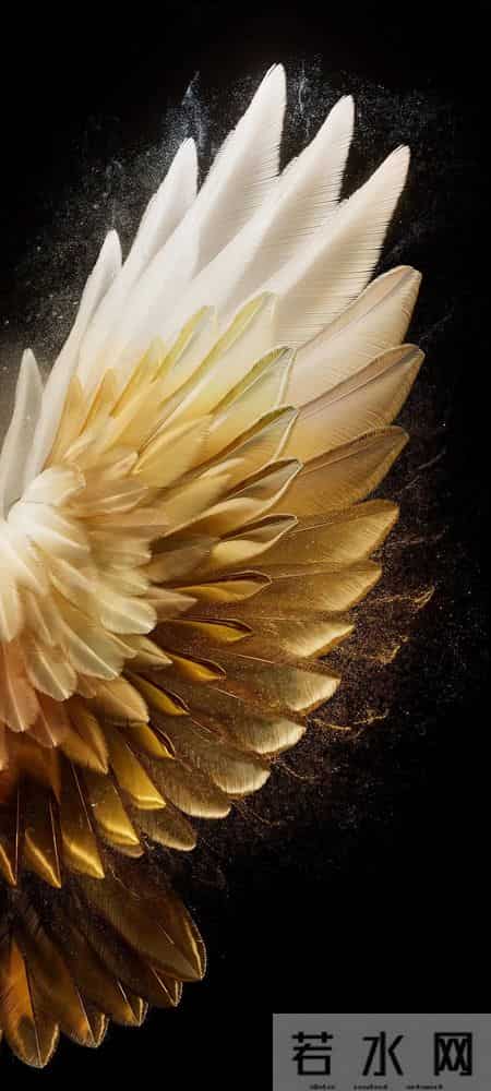 壁纸｜极简主义 × 10