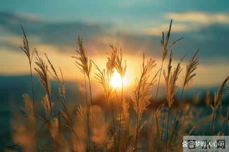 男人爱一个女人到极致，是会有以下“生理反应”的，装不出来