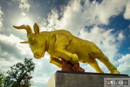 金牛座2026：躲不掉的两个人！一个抬你上天，一个踩你入地