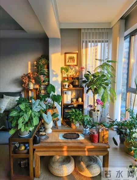 住久了才知：家里采光最好的阳台真被浪费了，学闺蜜家设计那才叫实用