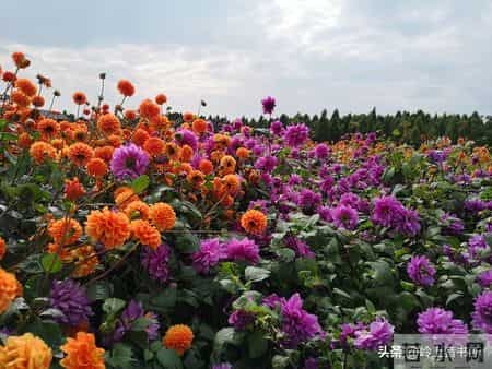 过年了，强烈建议大家，如果买衣服，能力范围内就买最贵的