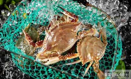 春节年货怎么买才省钱？5种东西再不囤就晚了