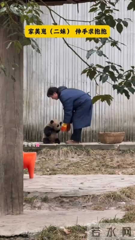 崽崽伸手求抱抱，奶妈温柔地把宝宝捧在怀里