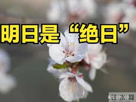 明日是“绝日”，立春的前一天，提醒：无论多忙，4件事别犯忌讳