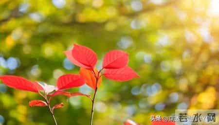 一辈子有三个人不能得罪,得罪一个,下半辈子都难安稳