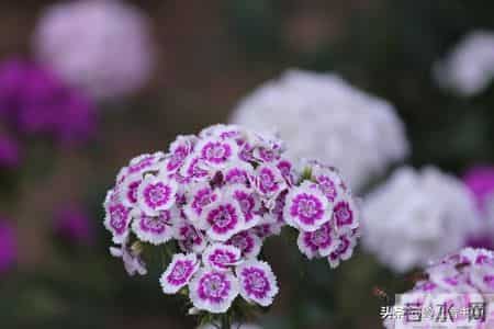 过年了，强烈建议大家，如果买衣服，能力范围内就买最贵的