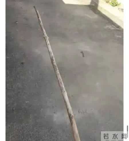 为什么说男人至死是少年？？网友：我90岁的爷爷搞了只蚂蚱，找个盒子的功夫被我奶奶当虫子打死了，赌气不吃饭，半夜饿的受不了又起来偷吃