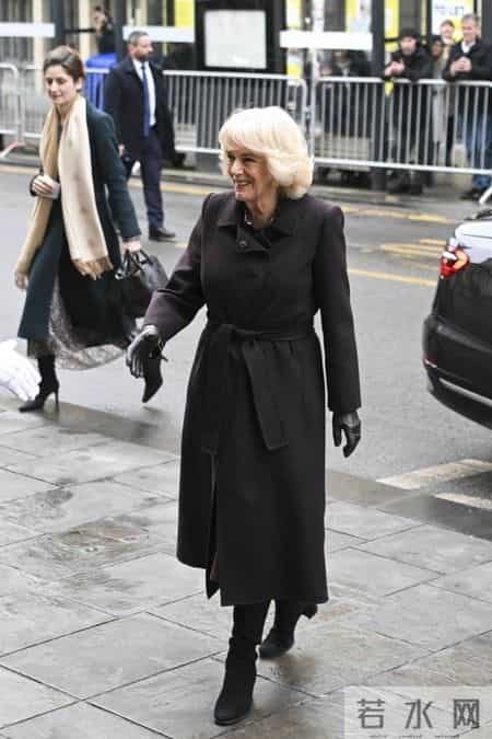 不得不说，卡米拉王后越来越会穿了，身姿挺拔尽显贵气感