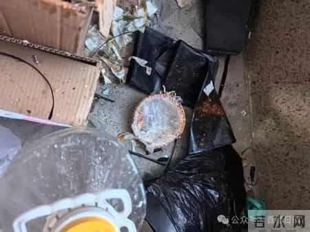 不是一次了！29楼的王某，被东港公安刑拘！