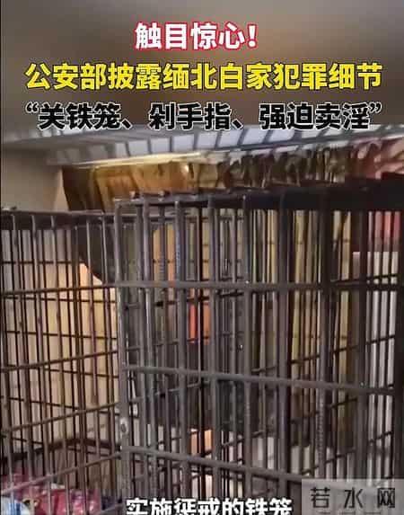 电诈290亿，白家执行死刑，中国仍在全球追捕，白家一个也别想跑