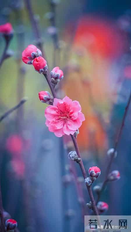 睡前皮肤保养做对这几步， 醒来脸蛋嫩到掐出水