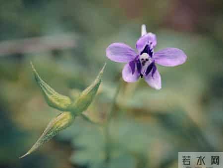 老了才明白，和兄弟姐妹"断绝往来"，是人生最不理智的！