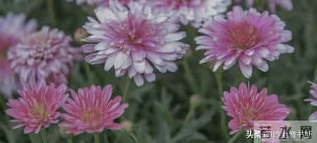 过年了，强烈建议大家，如果买衣服，能力范围内就买最贵的