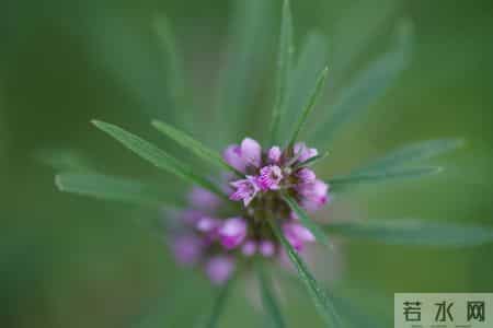 老了才明白，和兄弟姐妹"断绝往来"，是人生最不理智的！