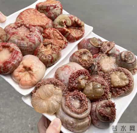 山东朋友解释下这是啥？真的是叫那啥么？