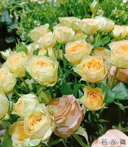 过年了，强烈建议大家，如果买衣服，能力范围内就买最贵的