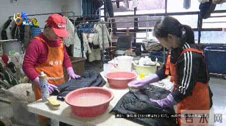 二十年洗衣店老板，最近被一件羽绒服“难住”……她想谈谈新设计