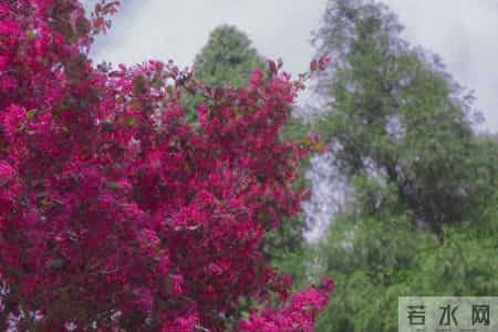 60岁后才发现，想顺顺当当再活20~30年，就得做好这6个心理准备