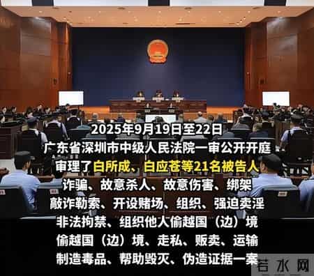 电诈290亿，白家执行死刑，中国仍在全球追捕，白家一个也别想跑