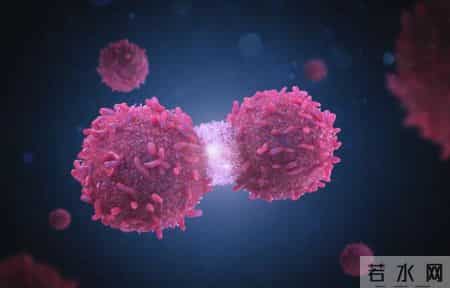 染发致癌，是真是假？哈佛研究给出答案，以后还能染发吗？