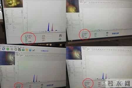 周生生再回应“足金挂坠被检测出含铁银钯”：同批次同款产品检测为足金