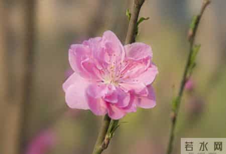 我今年55了，想告诉你：永远不要在朋友圈晒三样东西，真的很傻！