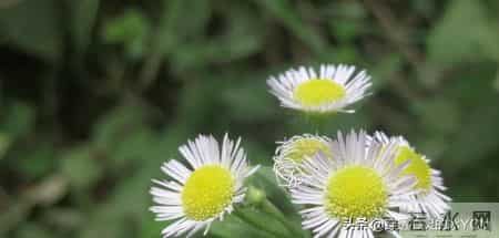 一辈子有三个人不能得罪,得罪一个,下半辈子都难安稳