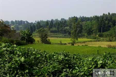 女村女孩嫁黑人生混血娃返乡过年，被父亲拒之门外