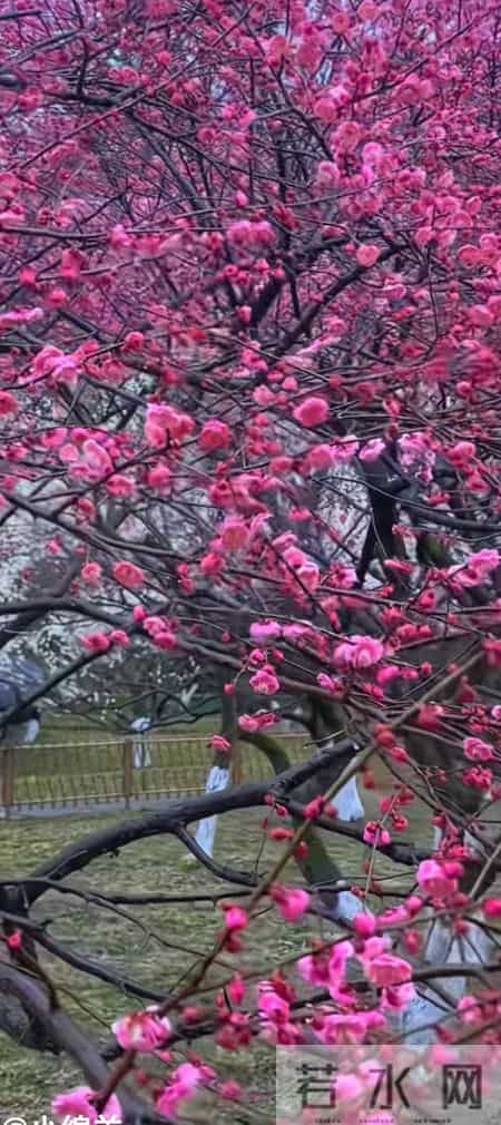 丧偶的男人为什会被世俗的眼光锁定?