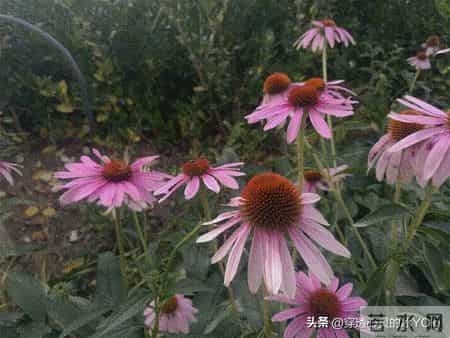 一辈子有三个人不能得罪,得罪一个,下半辈子都难安稳