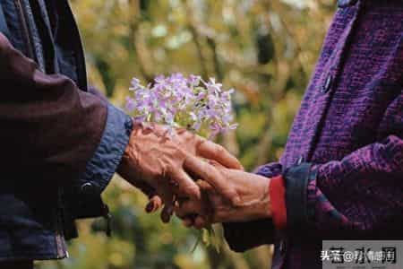 两性关系：70岁后，女人愿意让你抱、让你亲，意味着心防彻底瓦解