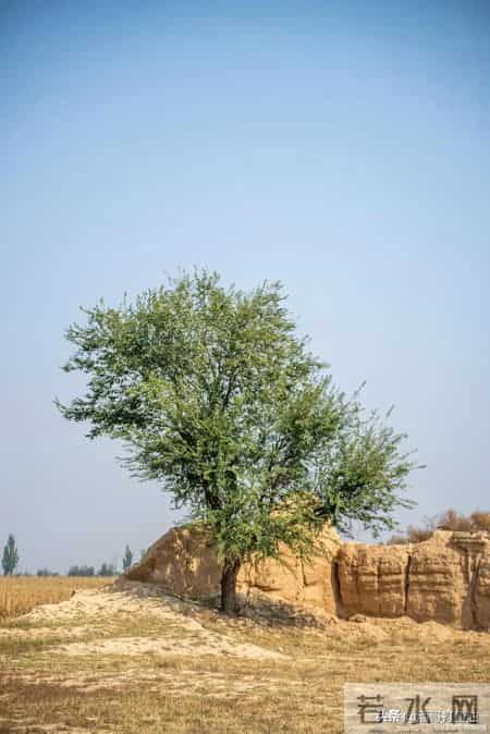 兵团岁月:那年春节,我和老婆在地窝子里贴春联