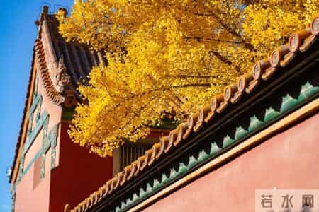 从北京出差唐山,毫不客气的说,唐山的 “牛”,真不是吹出来的!