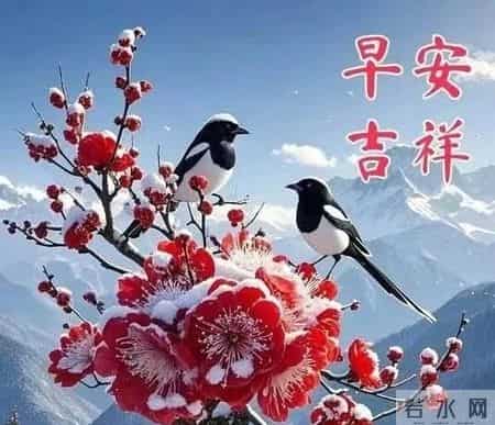 2026年2月第1天，周日早晨祝福，早安幸福安康！